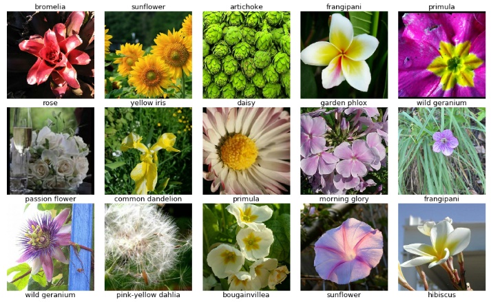 Rose Flower Classification Using Machine Learning Projects